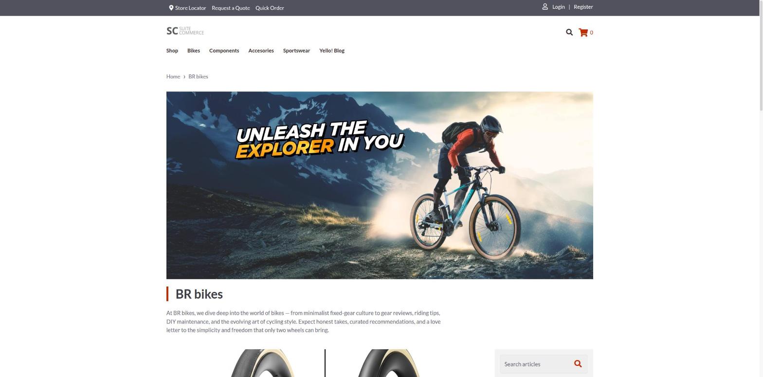 Blog home page on the site